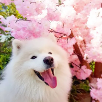 Piotr Szumański_picture